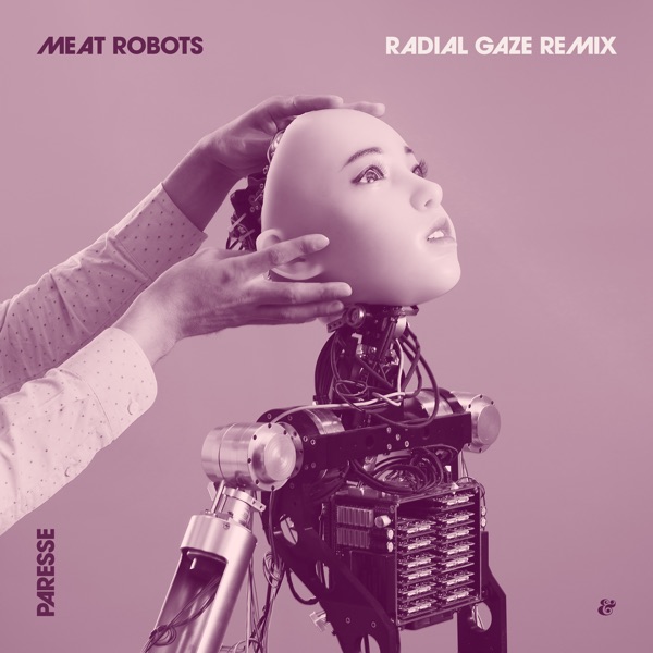 Meat Robots (Radial Gaze 'inner Vision' Remix) - Single