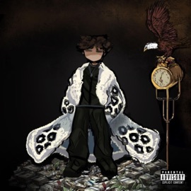 Plugu ROB & 986dxvid