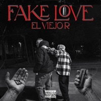 Fake Love - Single - ELVIEJO R & Marginale Noise