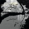 Omid - Shahram Nazeri lyrics