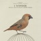 I Wonder - Sam Day, Dust of Apollon & Hendrik Joerges lyrics