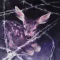 I Am What The Dog Brought In