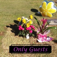 Only Guests - Single - GOLDiE LOXX