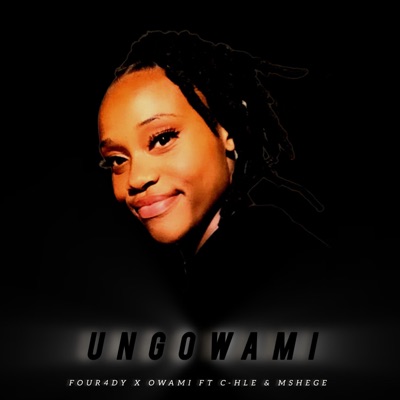 Ungowami C-hle & Mshege (feat. Owami) - Single