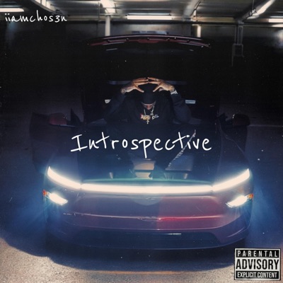 Introspective - Single