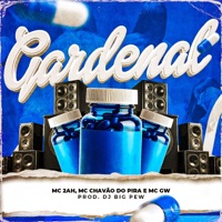 Gadernal (feat. MC Chavão do Pira) - Single - DJ BIG PEW, MC GW & MC 2AH