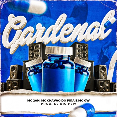 Gadernal (feat. MC Chavão do Pira) - Single