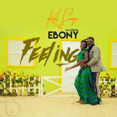 Feelings (feat. Ebony) - Single