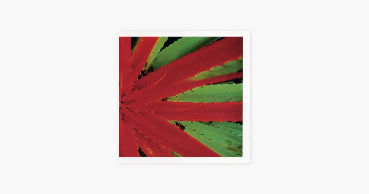 Jejune / This Afternoons Malady 再発盤LP Amazon.co.jp: This Afternoon Malady: ミュージック