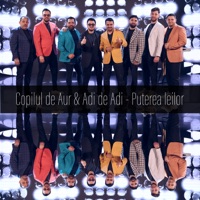 Puterea Leilor (feat. Adi de Adi) - Single - Copilul De Aur