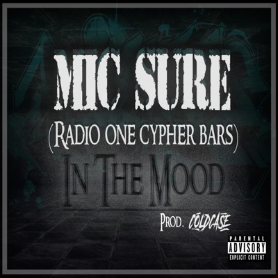 In The Mood (Radio 1 Cypher Bars) (feat. ColdCase) - Single