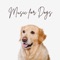 Music Therapy For Anxious Dogs - Peaceful Music For Pets lyrics
