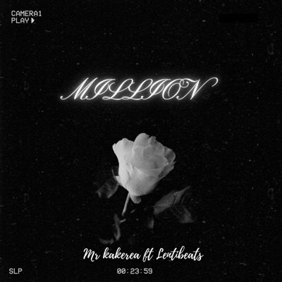 Million (feat. Mr kakerea) - Single