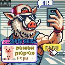 מטומטם בטיקטוק (feat. שון) Shibi Shibz