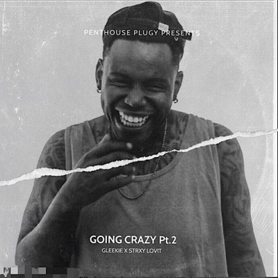 Going Crazy, Pt. 2 (feat. Strxy Lovit) - Single
