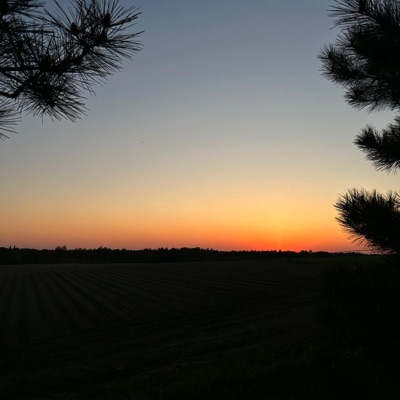 Danzando en sueños (feat. Sionix) - Single