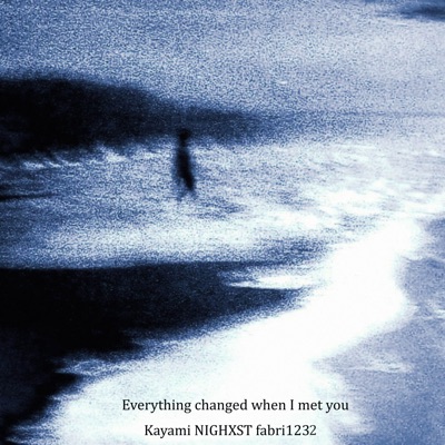 Everything Changed When I Met You - Single