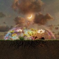 Buried Alive - Single - Jenny Yim