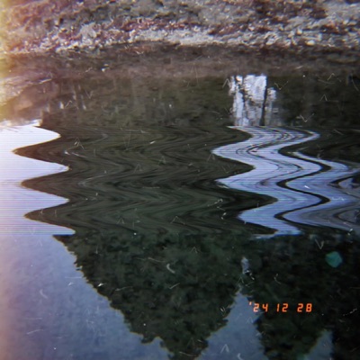 Rain Forest (feat. 豊海空風) [Repainted] - Single