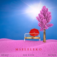 Mseleleko (feat. Bright & Rayako) - Single - Don Bizzo