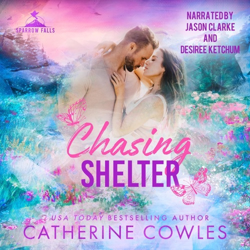 Chasing Shelter: Sparrow Falls, Book 5 (Unabridged) cover