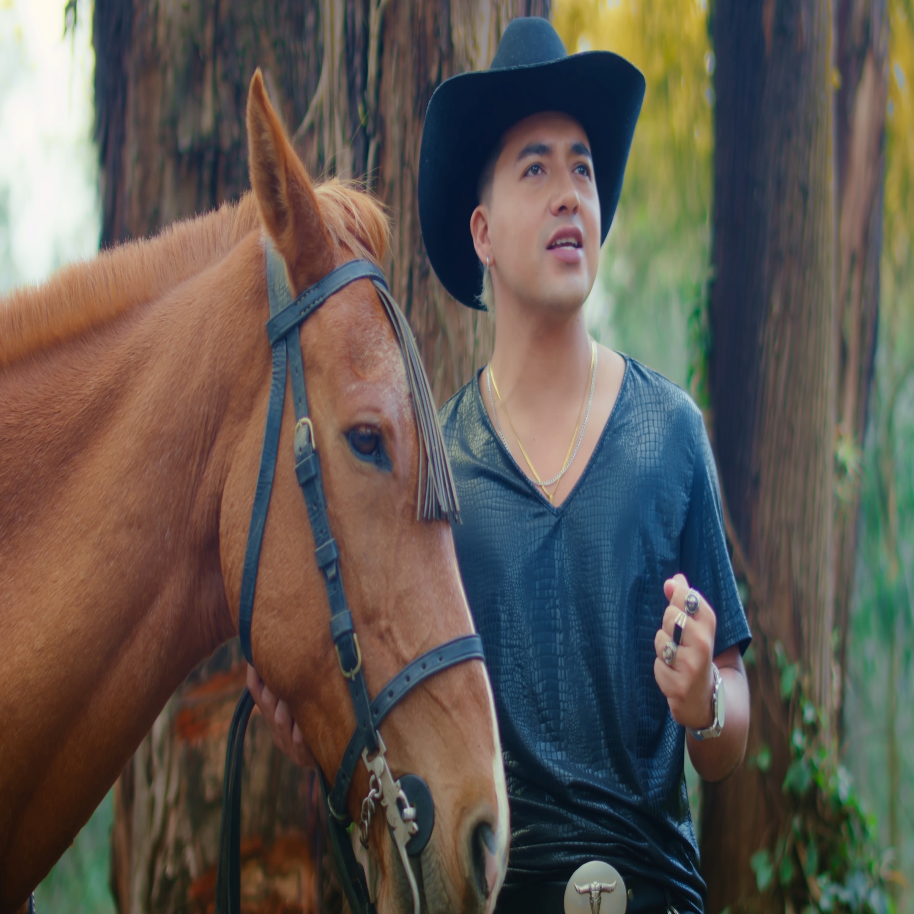 Perdido y Borracho - Single