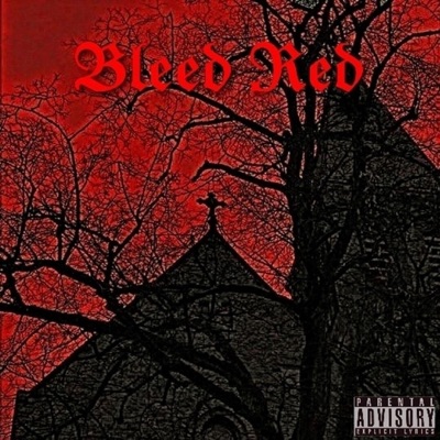 Bleed Red (feat. DRH & Aka Never) - Single