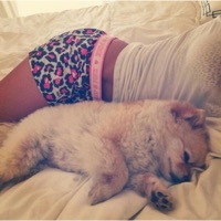 backd00r (feat. szmwu) - Single - kloud9inekali