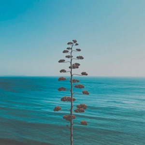 I'm You - Single