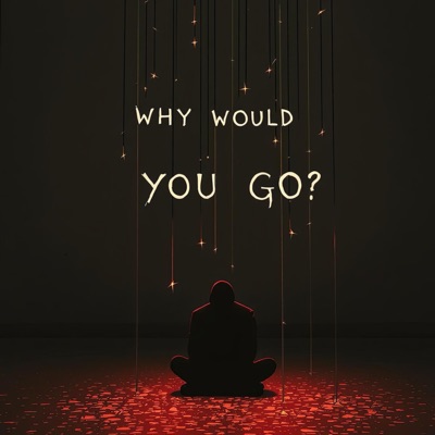 Why Would You Go - Single