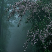 gleam - Single - shadowave