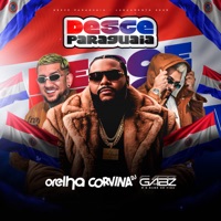 Desce Paraguaia - Single - DJ ORELHA MPC & GABZ OFC