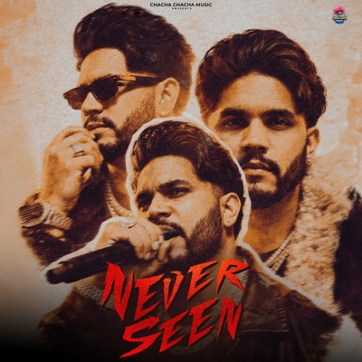 Never Seen (feat. Waqas Mxlik & Haider Lyallpuria) - Single