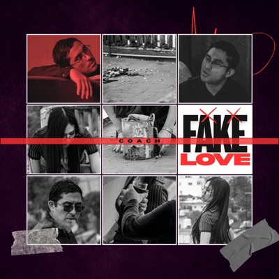 Fake Love - Single