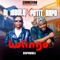 BOLINGO (feat. Dj Moule Chakala) - DJ KAPO MUMPE lyrics