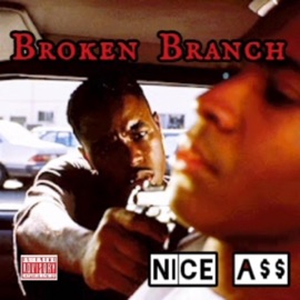 Nice A$$ Broken Branch