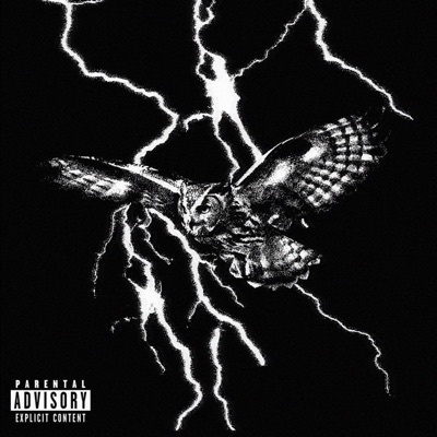 Alto Voltaje (feat. MayenArt) - Single