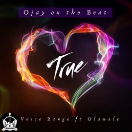 True (feat. Olawale) Voice Range