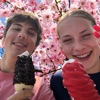 Cherry Dipped Cones - Single