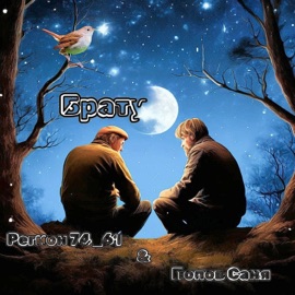 Брату Регион 74_61 & Попов Саня