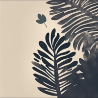 Nightingale - Single - Mosalla