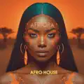 Black Coffee Afro & Melodic House