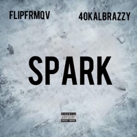 Spark (feat. 40Kalbrazzy) - Single - Flipfrmqv