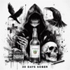 30 Days Sober - Single