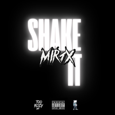 SHAKE IT - Single