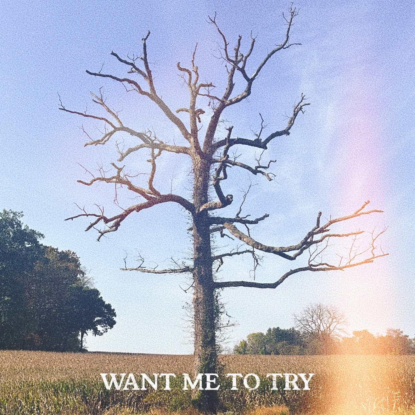 Kingery & Ty March. – Want Me To Try – Single (2025) [iTunes Match M4A]