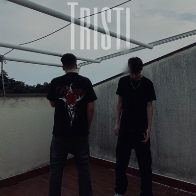 TRISTI (feat. Hira) - Single