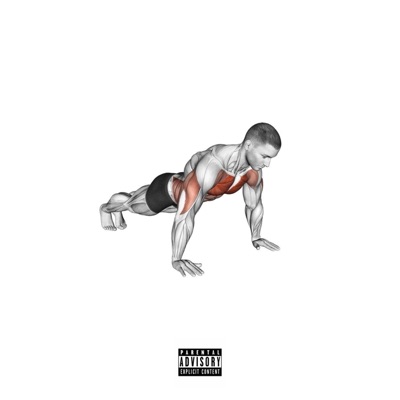 PUSHUPS - Single