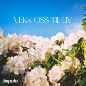 Vekk oss til liv - Live