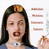 scripture - Single - exset